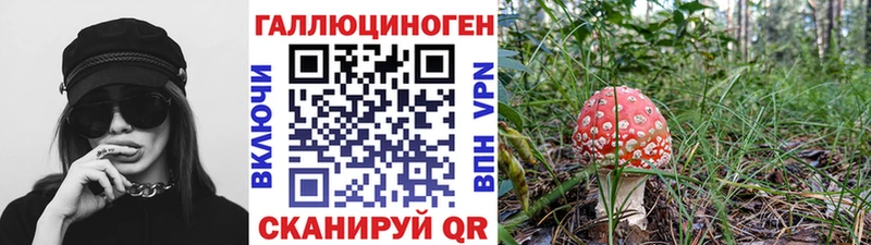 закладка  darknet официальный сайт  Галлюциногенные грибы MAGIC MUSHROOMS  Себеж 